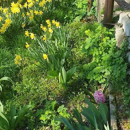 Casa Cascina Ronco- Natura E Relax Vicino Di Lägenhet